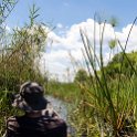 BWA NW OkavangoDelta 2016DEC02 Mokoro 030 : 2016, 2016 - African Adventures, Africa, Botswana, Date, December, Mokoro Base Camp, Month, Northwest, Okavango Delta, Places, Southern, Trips, Year